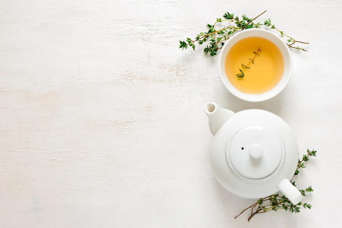 The Difference Between Earthenware, Stoneware, and Porcelain: A Potter's Guide